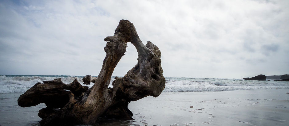 Driftwood sculpture on a remote beach in Menorca