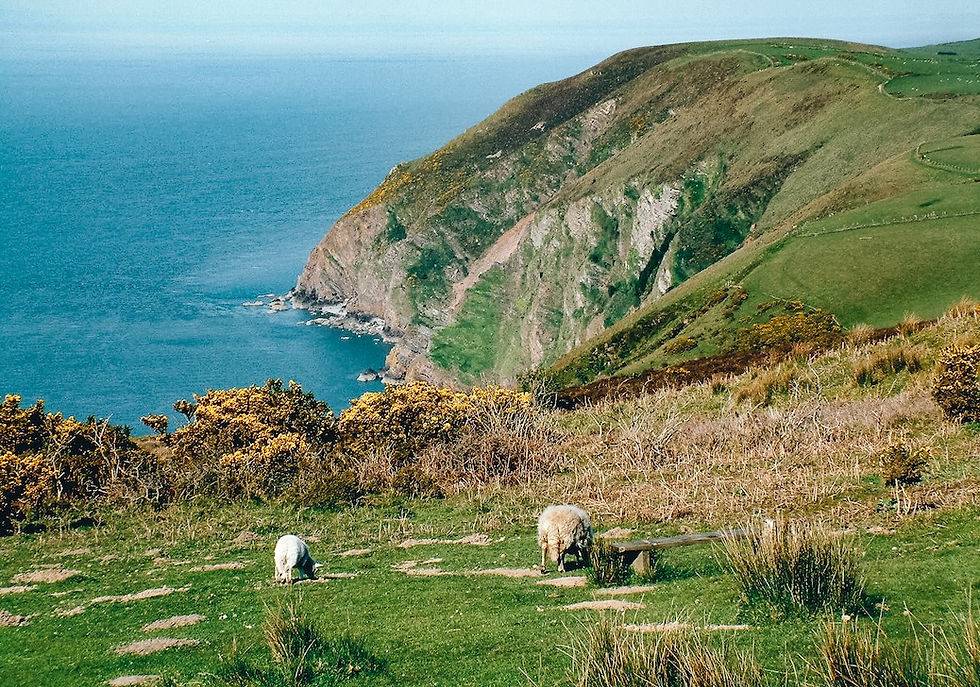 Sea cliffs near Heddon's Mouth