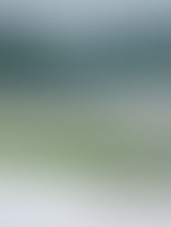 Celebrated Cornwall: Delights of the Camel Trail