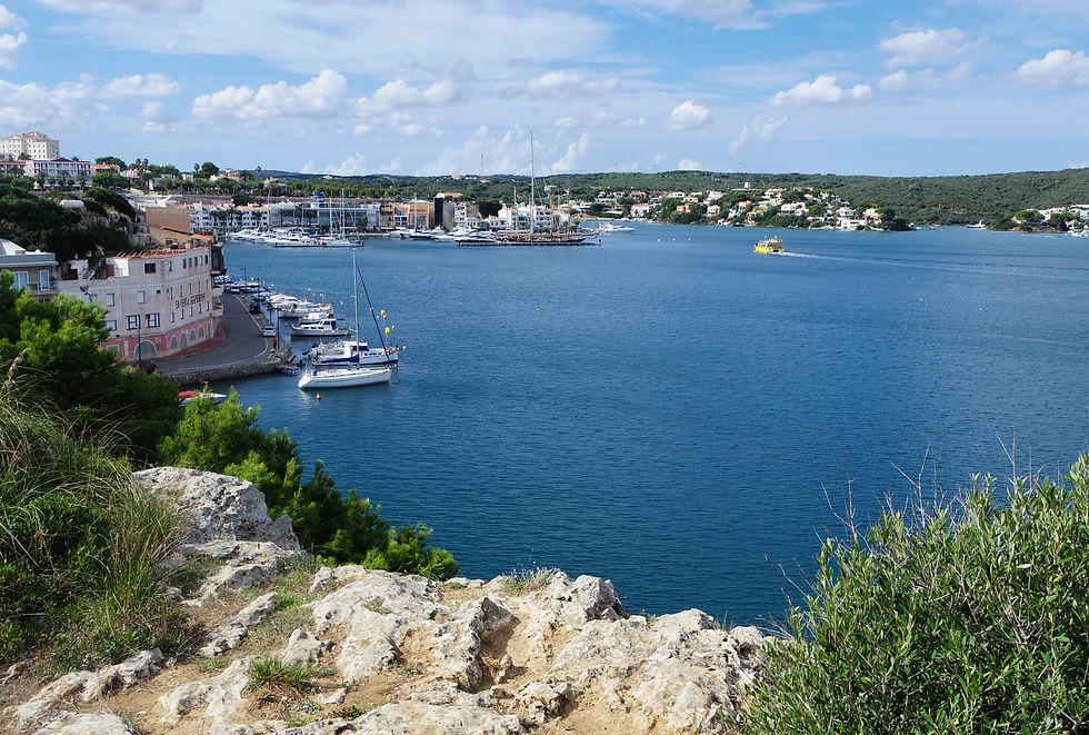 Looking down from the western cliffs on Mahon harbour