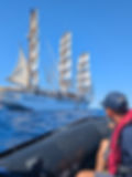 “sea safari” off the Sea Cloud Spirit