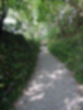 The old smuggler's path down to the beaches at Lansallos in Cornwall