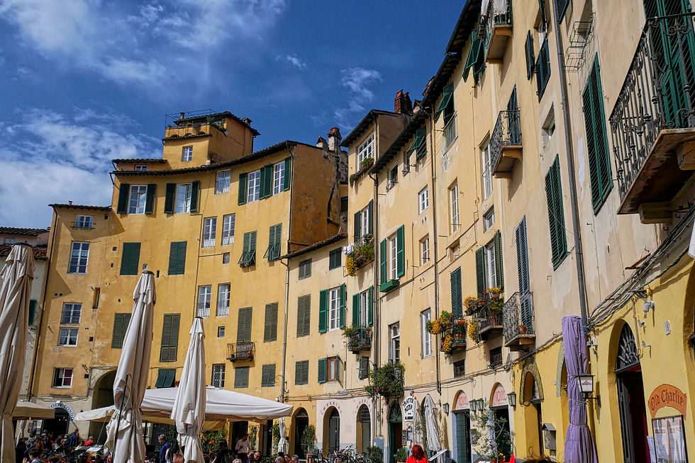 The wonderful central town square in Lucca
