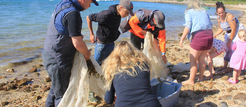 The Pender family help to catch the little "alandine" fish which are so delicous