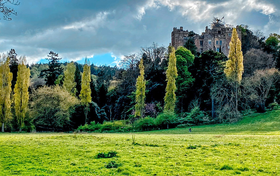 a view of Dunster Castle in winter