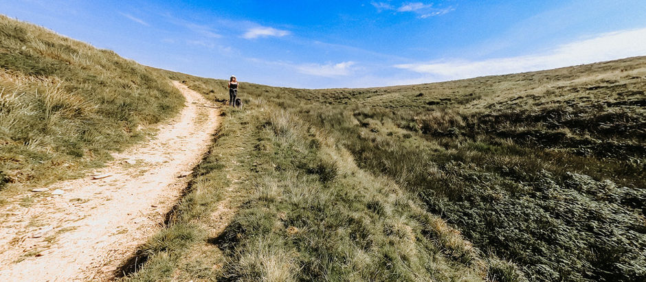 The Two Moors Way at Preyway Head