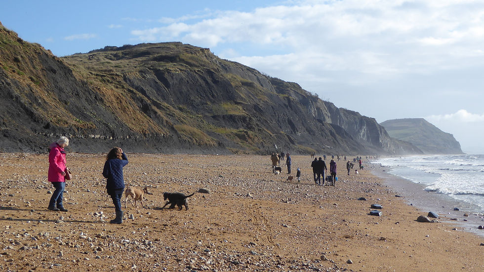 The beach at Charmouth, West Dorset
