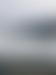 Christmas Beach Picnic with Dan the Fishman