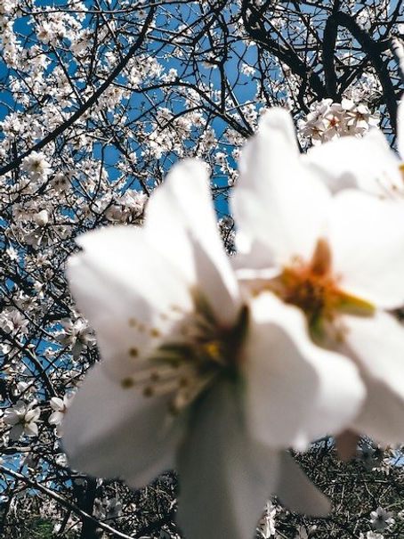 Winter Sun in Gran Canaria: Why Las Palmas is the Ultimate January Escape