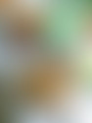 Sabzi, the West Country Café Revolutionising Fresh Healthy Eating