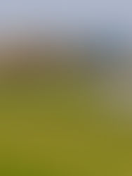 Somerset Walks - Aller and The Rhines