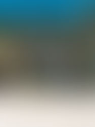 Afternoon in Anguilla