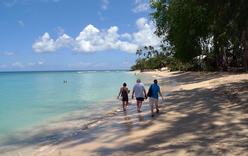Cobbler's Cove beach