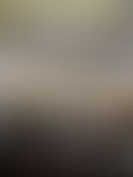 The Christmas Fatstock Show