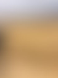 Salalah - One of the Strangest Places I've Ever Visited