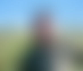 The Right Meat - From Farm Wilder