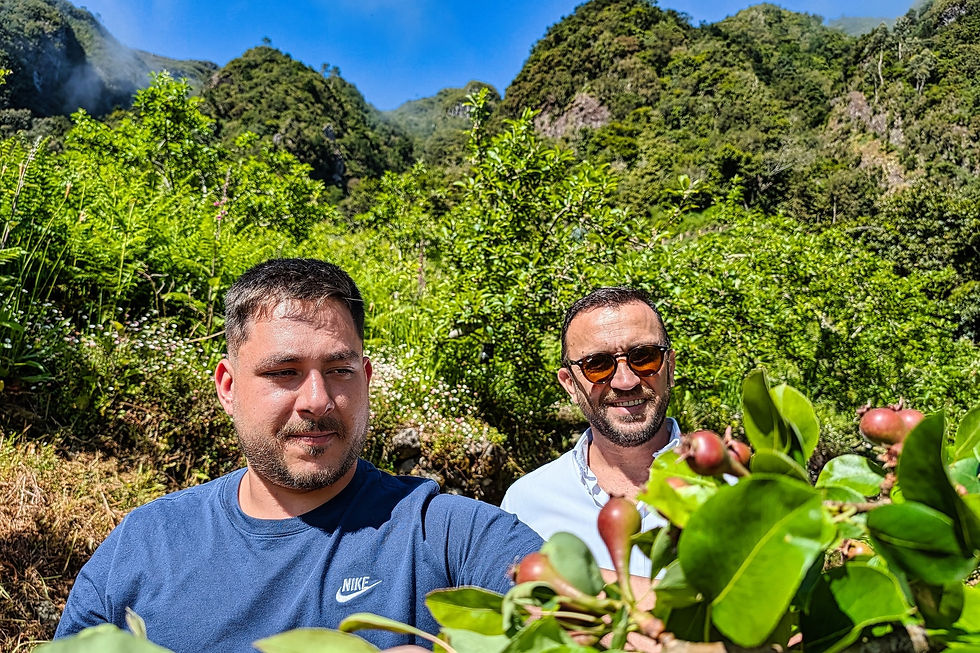 Márcio Nóbrega in an orchard high in the Madeira mountains with orchard owner Helder Cardoso