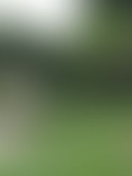 Remember the Good Old Days of TV Work