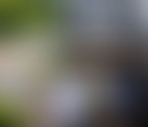 The Rock Inn, Exciting Makeover for Ancient Somerset Pub