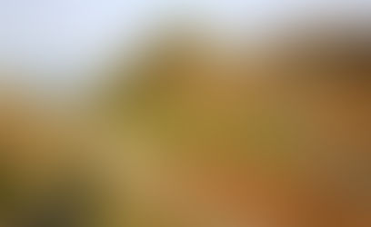 Exmoor Walks: Lynton's Valley of Rocks