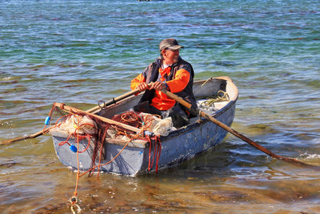 Bryher fisherman Mark Pender catching sprats off Bryher