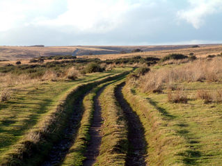 Withypool Common close to where the late Hope Bourne used to live