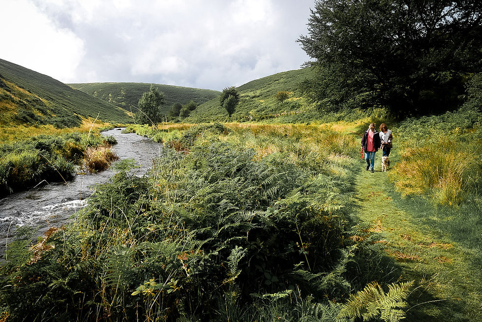 Walking down the Barle Valley from Simonsbath