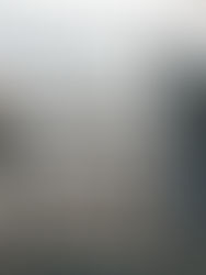 Bristol Channel Herring