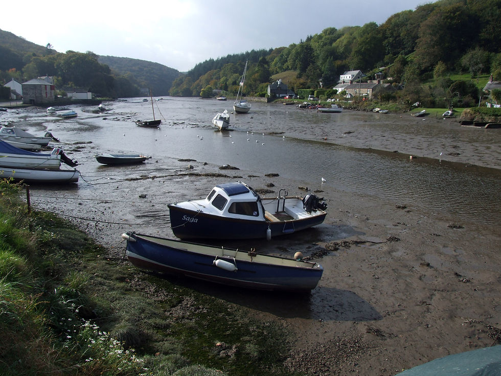 Low tide at Lerryn, in Southern Cornwall