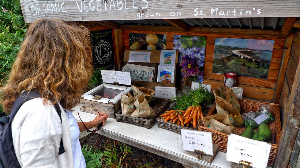 A typical "honesty farm shop" on the Scillies