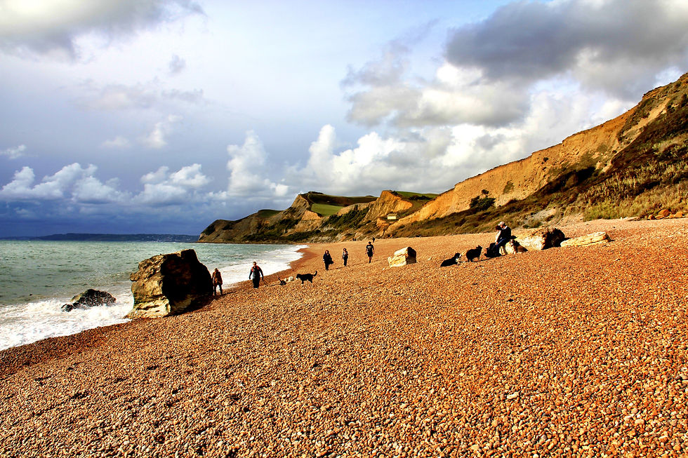 Looking west along the Dorset shoreline towards Golden Cap