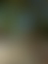 The Bitter End - a Tale of Resilience and Determination