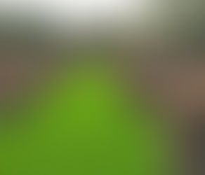 Discovering the Dordogne: A Journey Through France’s Timeless Heartland