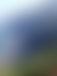 Exmoor Walks: Porlock Coast, Afghan, and 40 Mysterious Graves