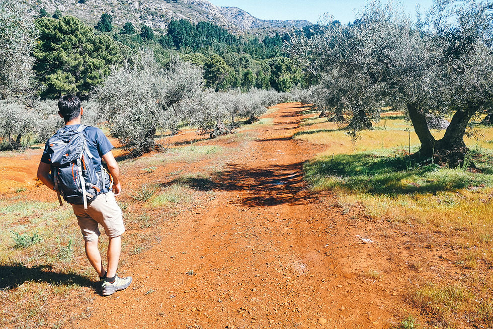 Hiking in the hills above Marbella