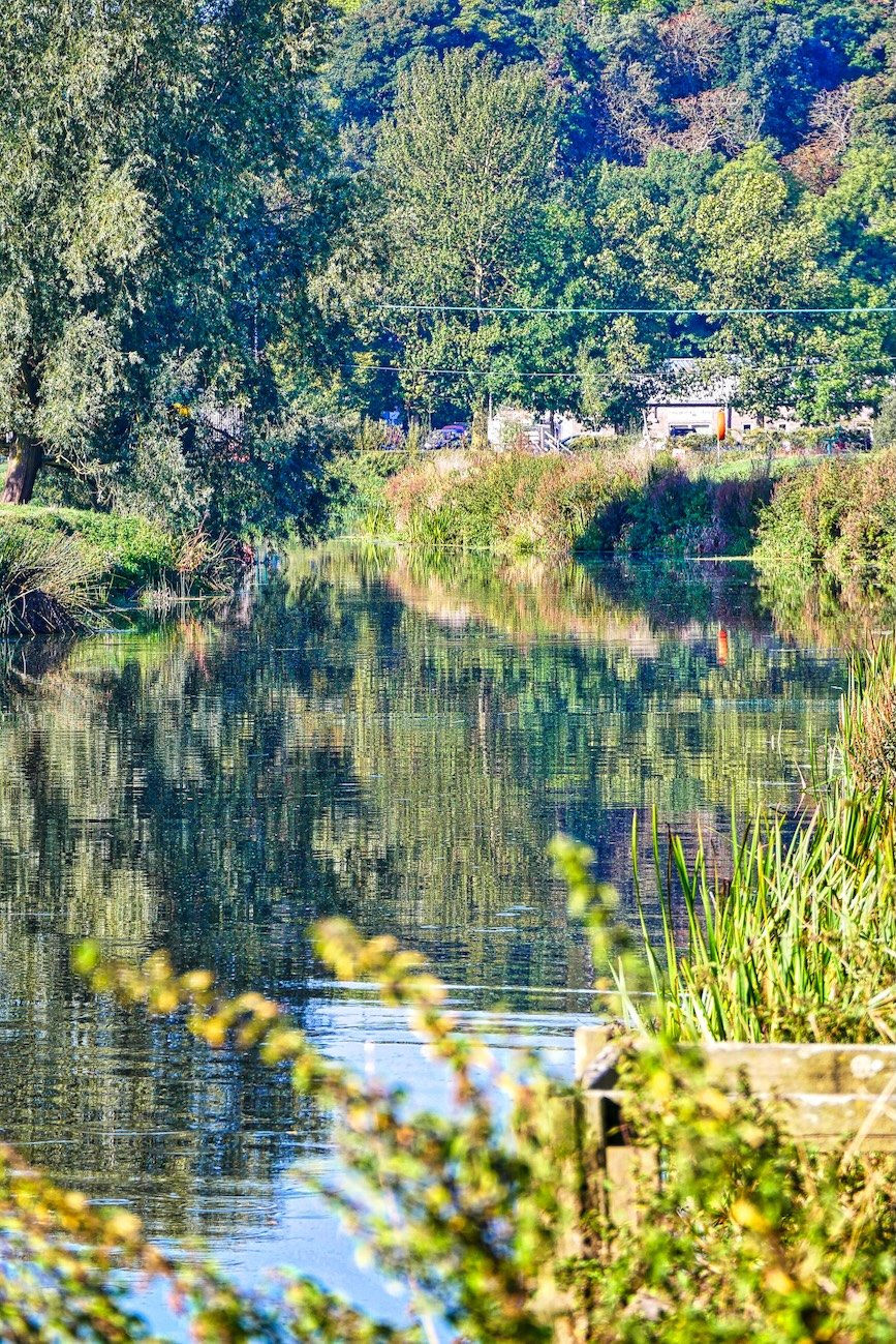 River Adventures on the Somerset Levels: The Duchess of Cocklemoor and Langport's River Parrett