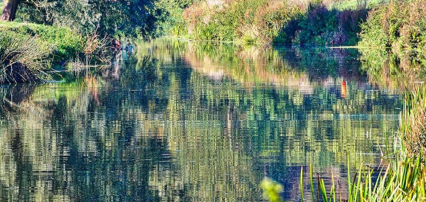 River Adventures on the Somerset Levels: The Duchess of Cocklemoor and Langport's River Parrett