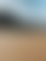 Secret Devon - Wild Pear Beach & The Hangmen