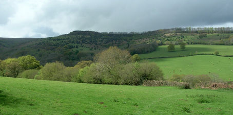Somerset Walks: Aisholt Circular in the Quantock Hills