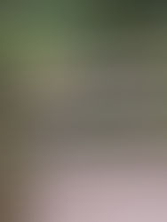 Devon Walks - 6 Great Hikes for Easter & Spring