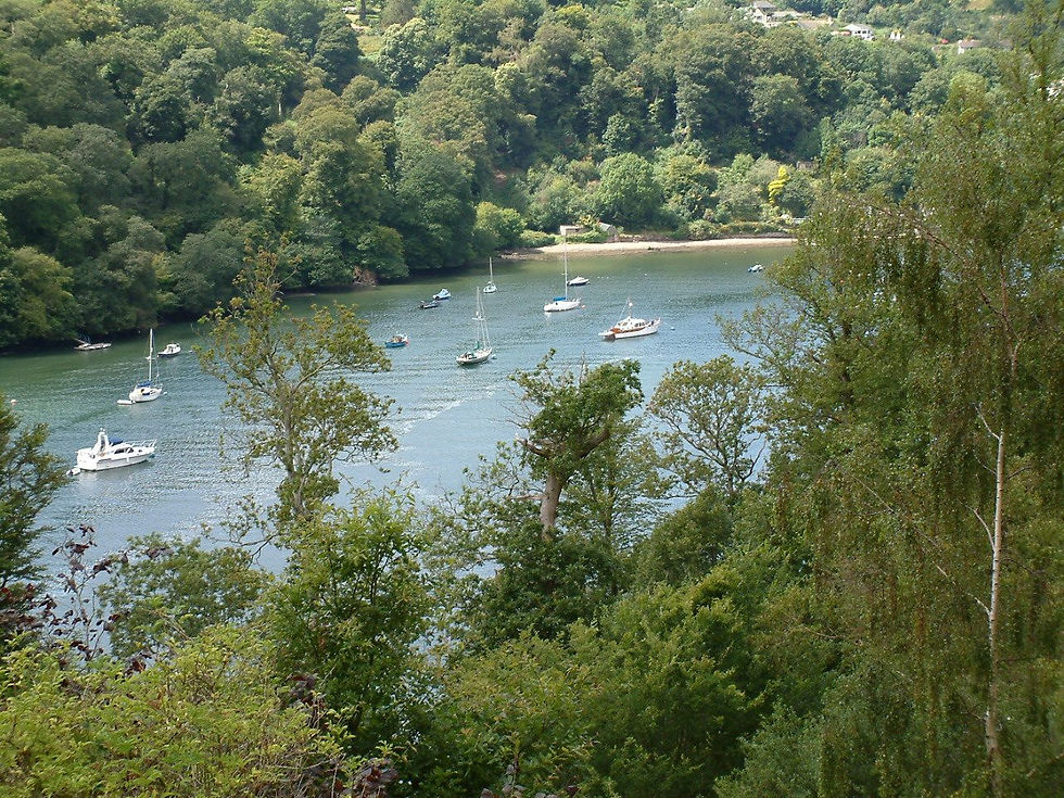 The River Dart near Greenway