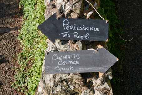 Exmoor Walks: Selworthy Circular - Bossington Hill and Surroundings