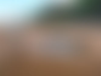 Exmoor Walks: The Secret Sands