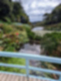 The approach to the bottom section of Trebah Gardens in Cornwall