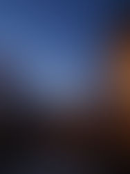 Bountiful Barbados as Seen From the Classic Cobbler's Cove