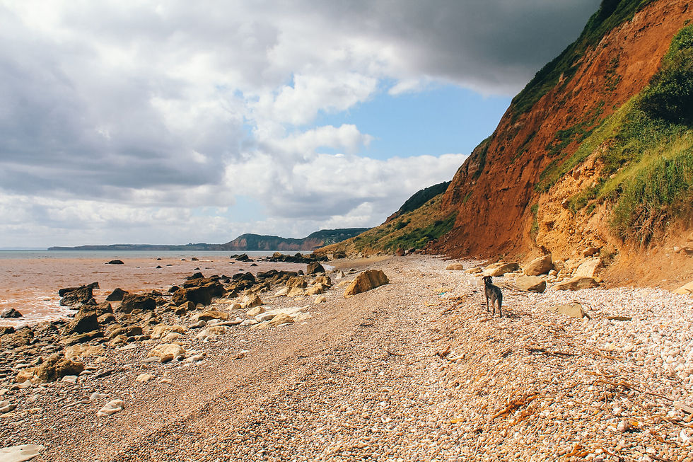 The beach at Salcombe Regis Mouth