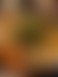 Night Out in Nha Trang