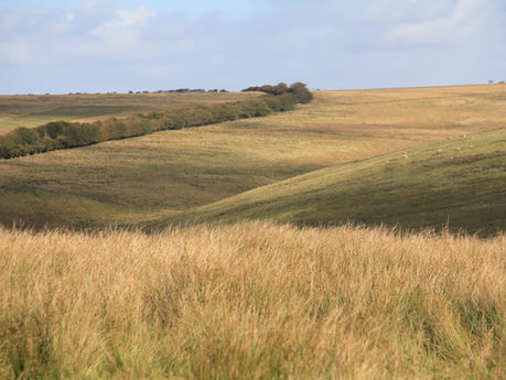 Exmoor Walks: Withypool Common