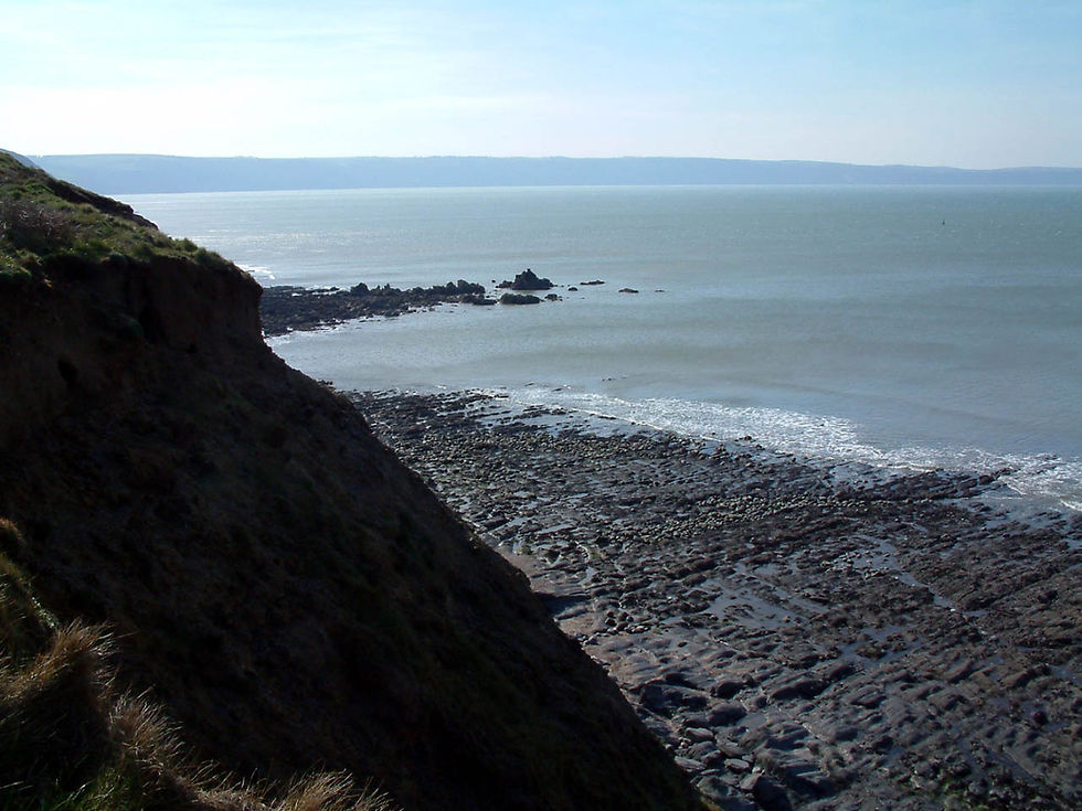 The rocky beaches west of Westward Ho!