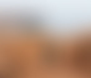 Frankincense and the Christmas Story